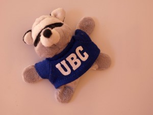 UBC racoon
