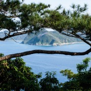 Amami-Ôshima – ett återbesök